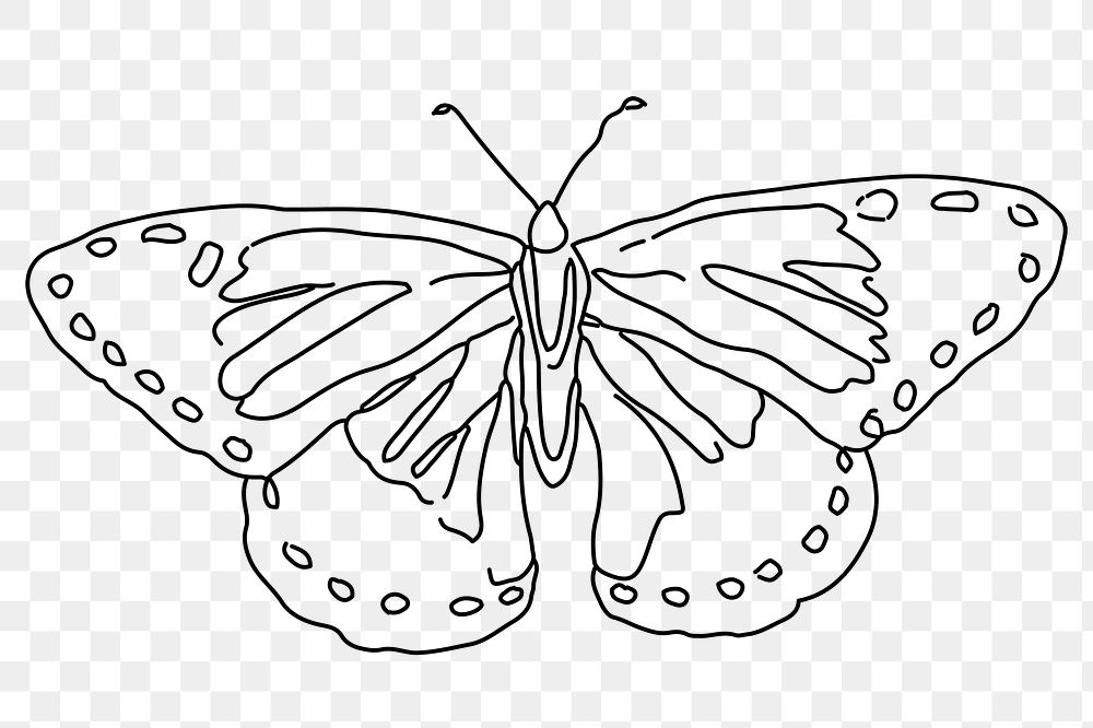 Butterfly png line art, transparent background