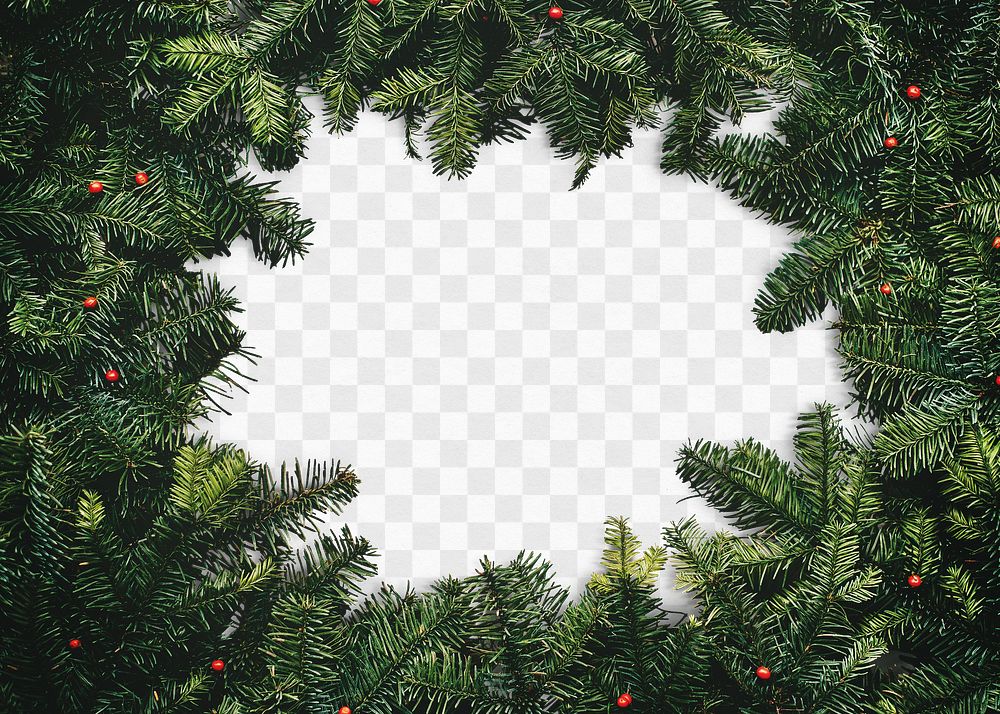 Christmas tree png frame mockup, transparent design