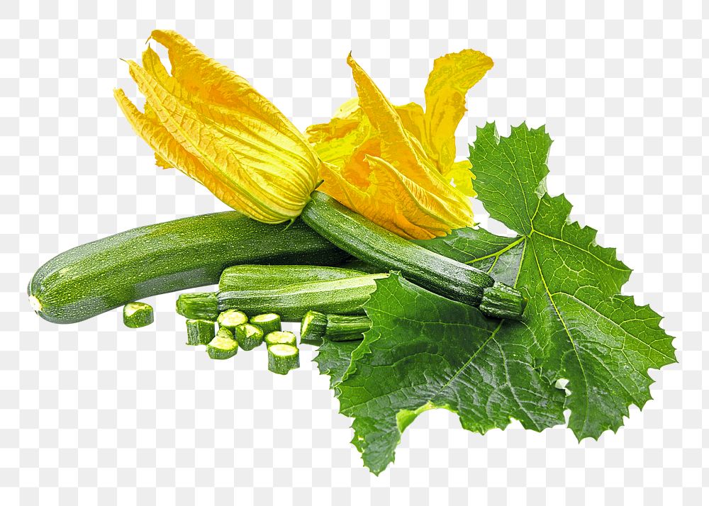 Zucchini flowers png, transparent background