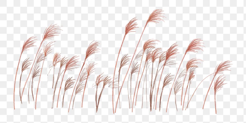 PNG red reed, grass transparent background