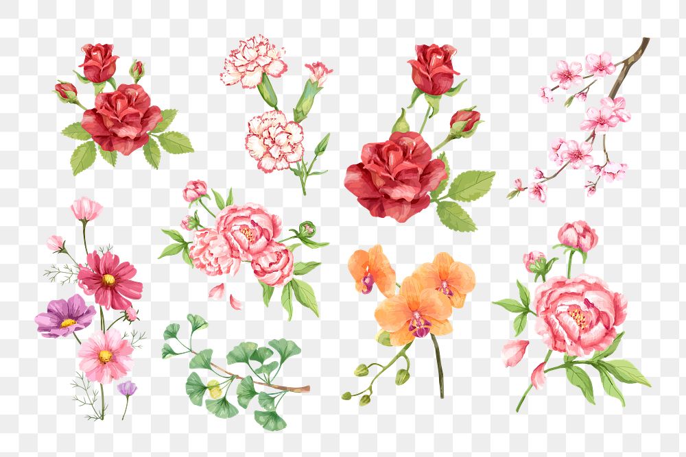 PNG watercolor flower set, transparent background