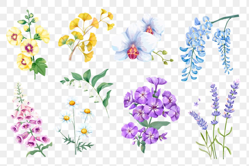 Watercolor flower png collection, transparent background