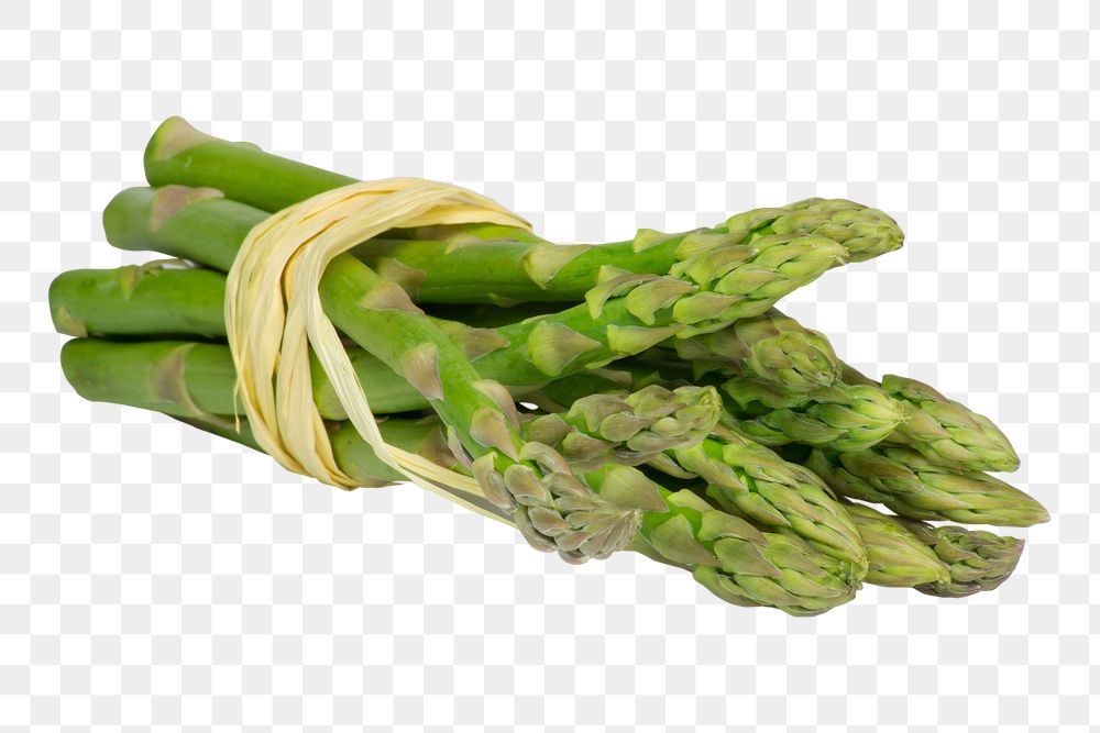 PNG asparagus collage element, transparent background