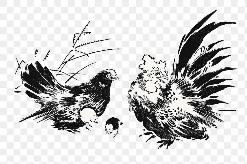 PNG Japanese chickens, ink animal illustration by Toyeki, transparent background. Remixed by rawpixel.