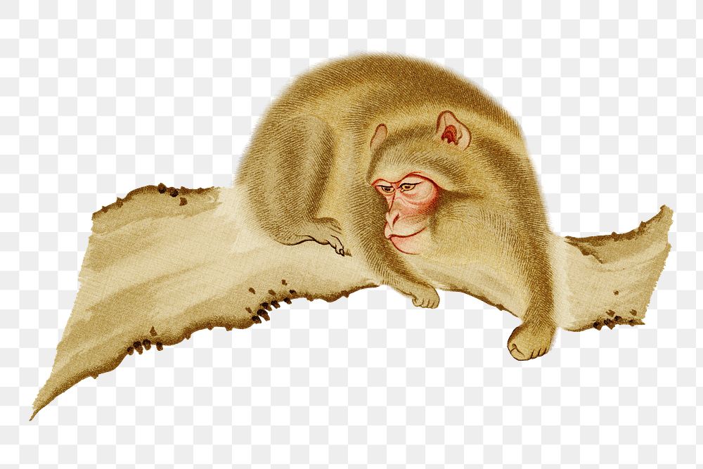 PNG Monkey, vintage animal painting by G.A. Audsley-Japanese illustration, transparent background. Remixed by rawpixel.