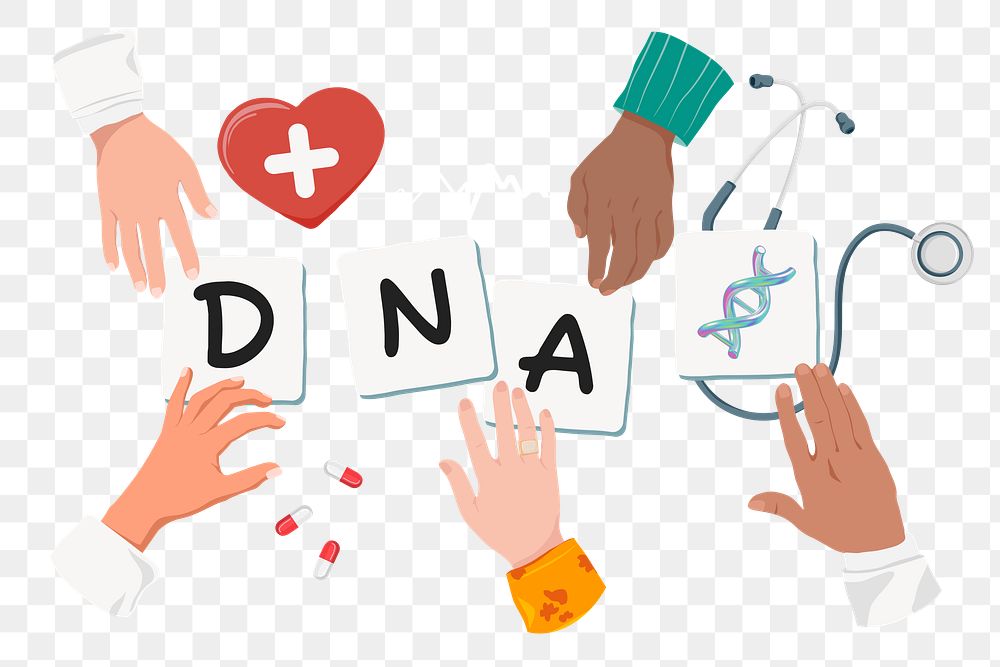 DNA png diverse hands, health & wellness remix, transparent background