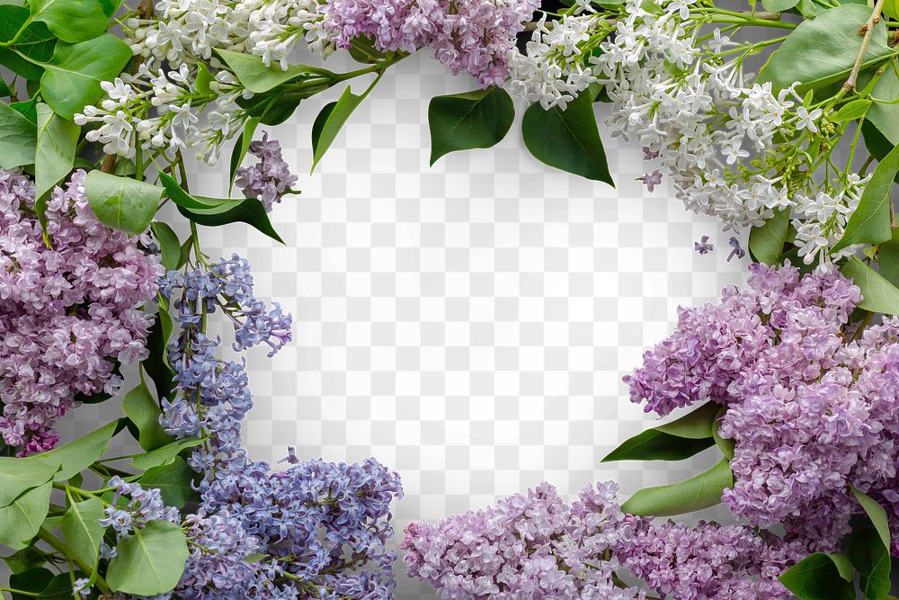 Purple flowers frame png mockup, transparent background