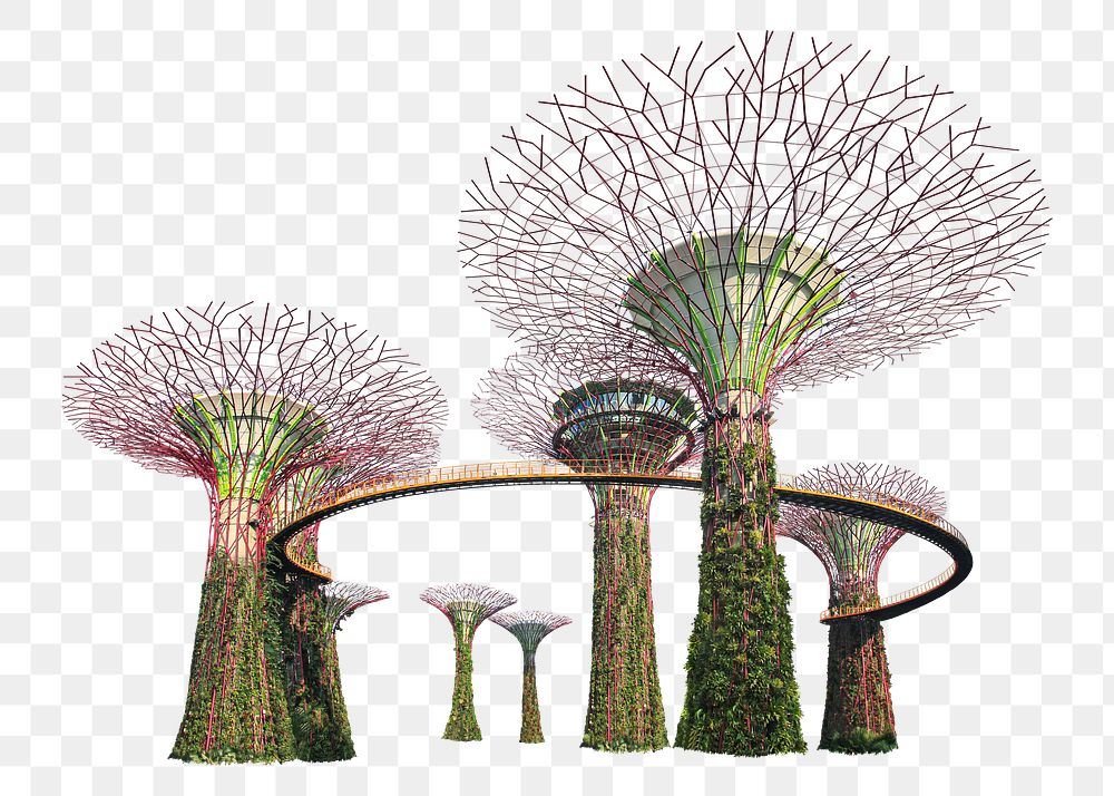 Png Gardens by the Bay in Singapore, transparent background