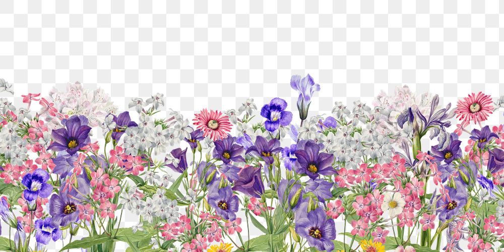 Aesthetic purple flowers png border, transparent background