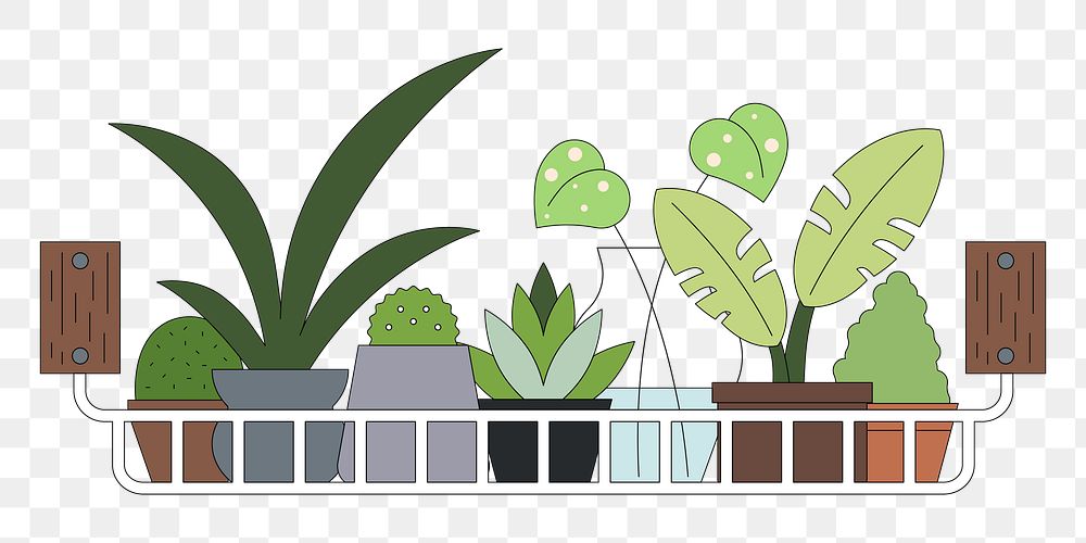 PNG Houseplant pots on shelf, flat illustration, transparent background