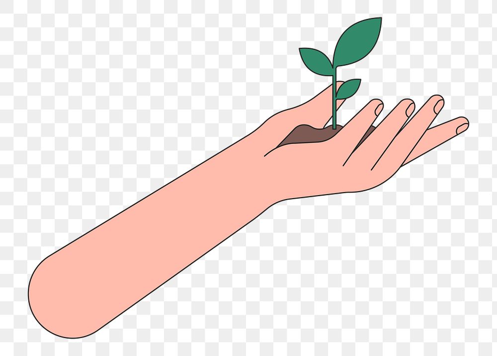 PNG Hand presenting plant sprout, environment illustration, transparent background
