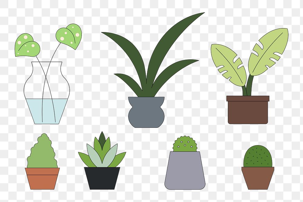 PNG Cute houseplants, flat graphic set, transparent background