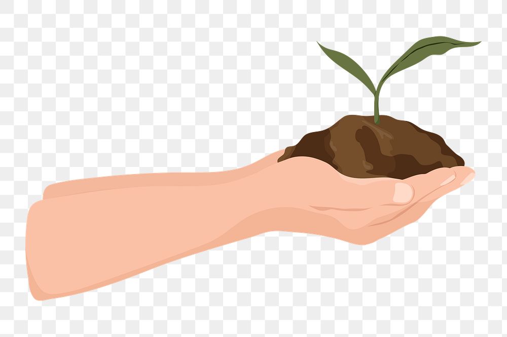 Hand png cupping plant, transparent background