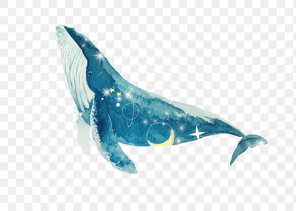 PNG Swimming whale, galaxy aesthetic remix, transparent background