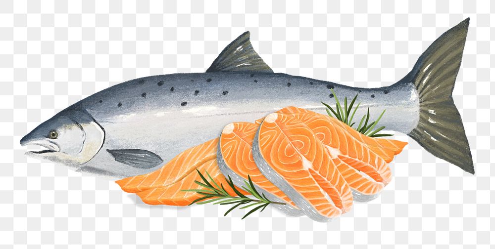 PNG Fresh salmon  fish, seafood illustration, transparent background