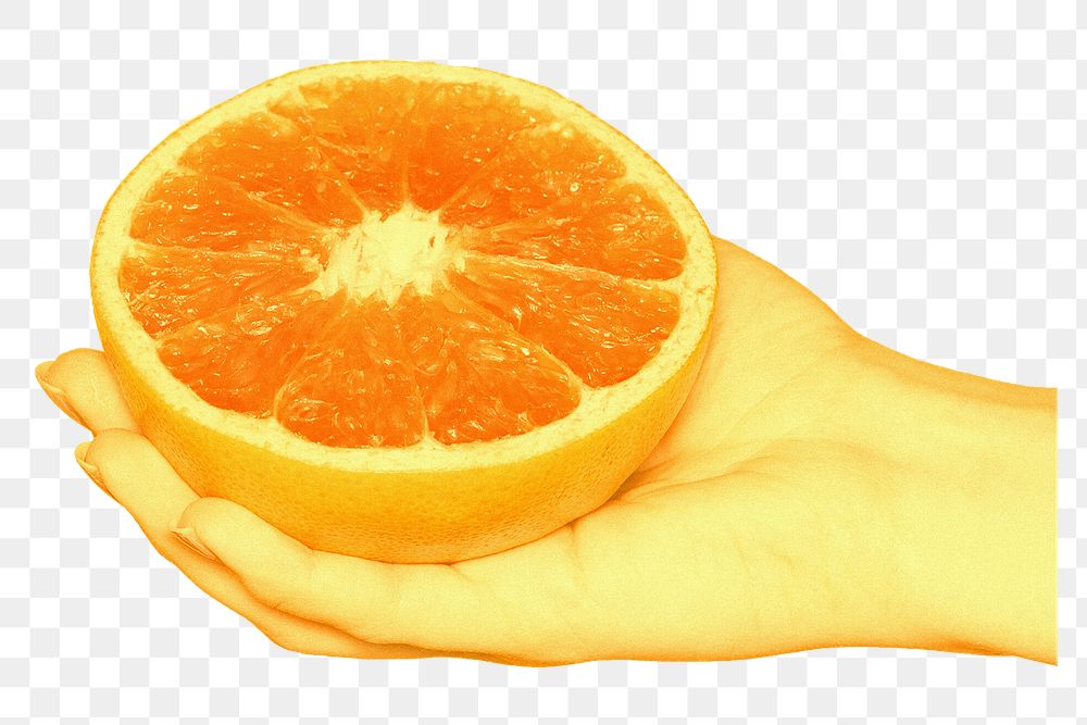 Hand holding orange png, food collage element, transparent background