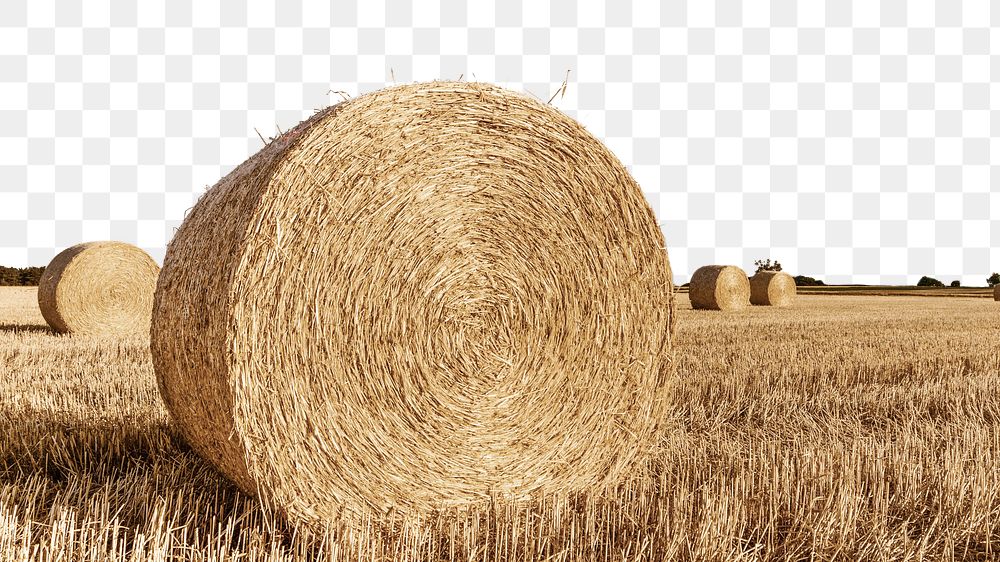 Png huge round hay bale border, transparent background