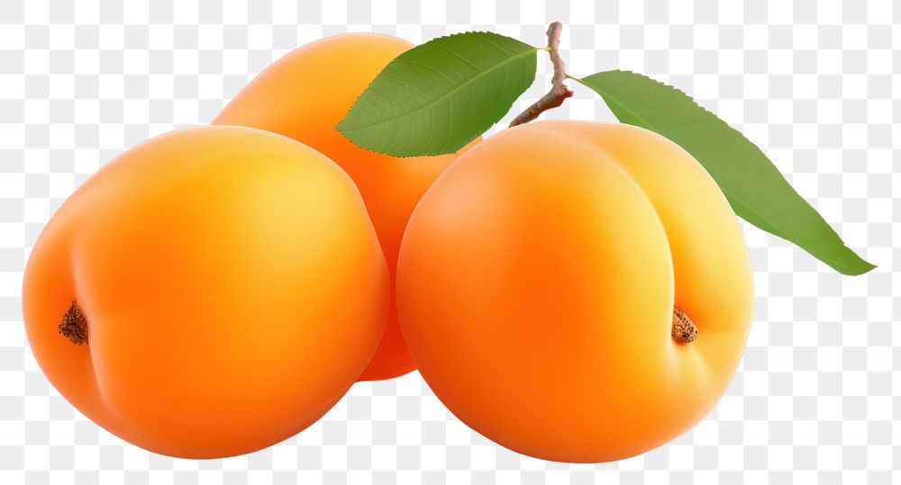 PNG Apricot fruit plant food. 