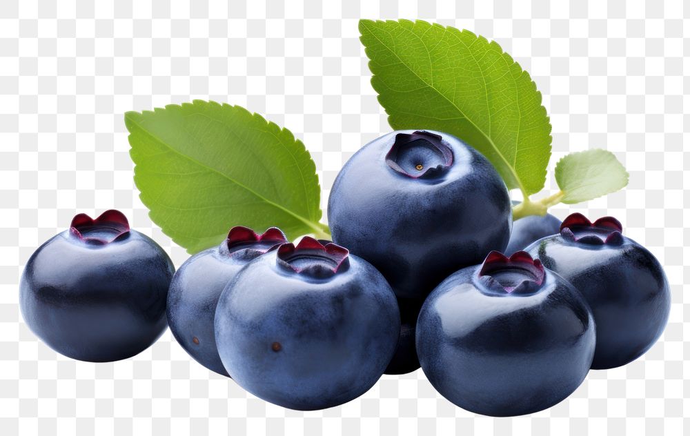 PNG Blueberry fruit plant food. 