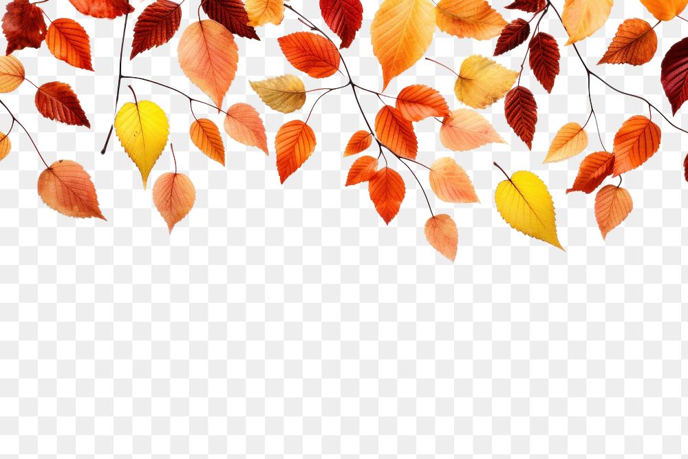 PNG Backgrounds decoration autumn leaves. AI generated Image by rawpixel.