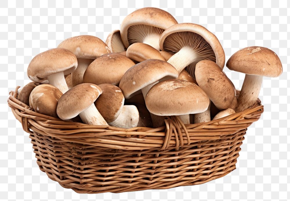 PNG Mushroom basket white background agaricaceae. AI generated Image by rawpixel.