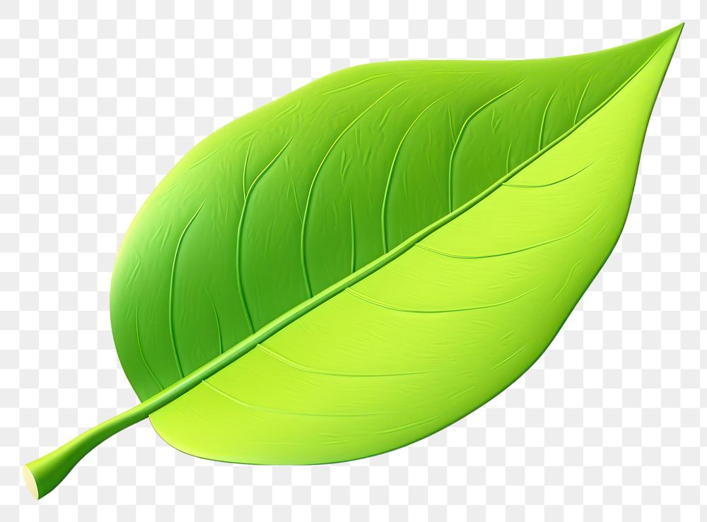 PNG  Leaf plant white background freshness. AI generated Image by rawpixel.