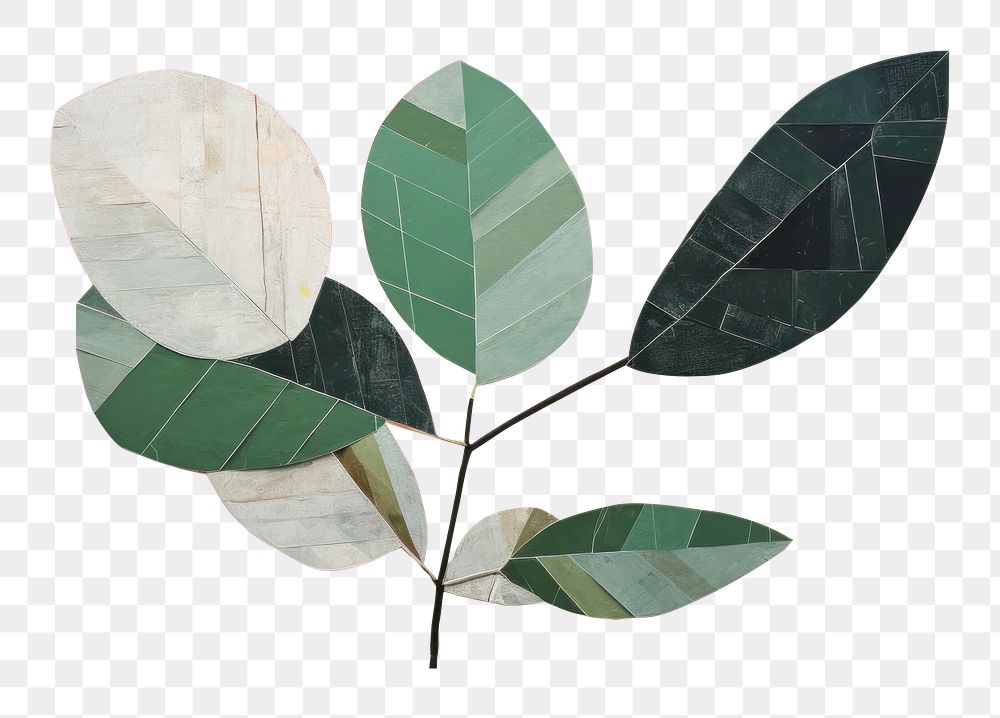 PNG Plant art painting leaf. 