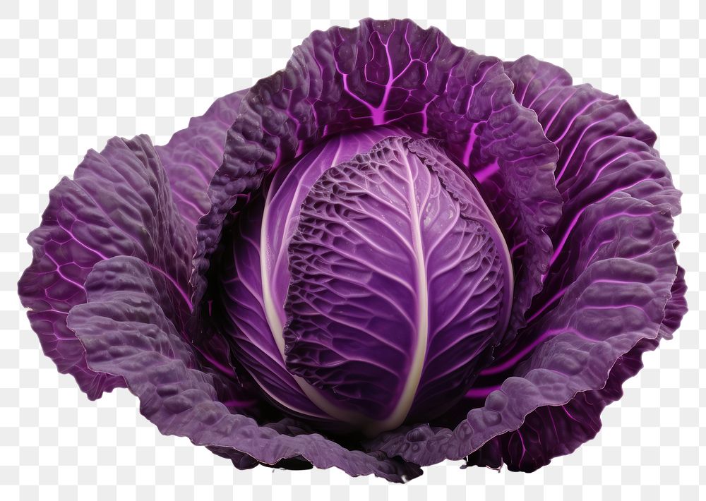 PNG Vegetable cabbage plant food. 