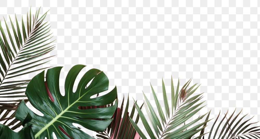 PNG Backgrounds outdoors nature plant. AI generated Image by rawpixel.