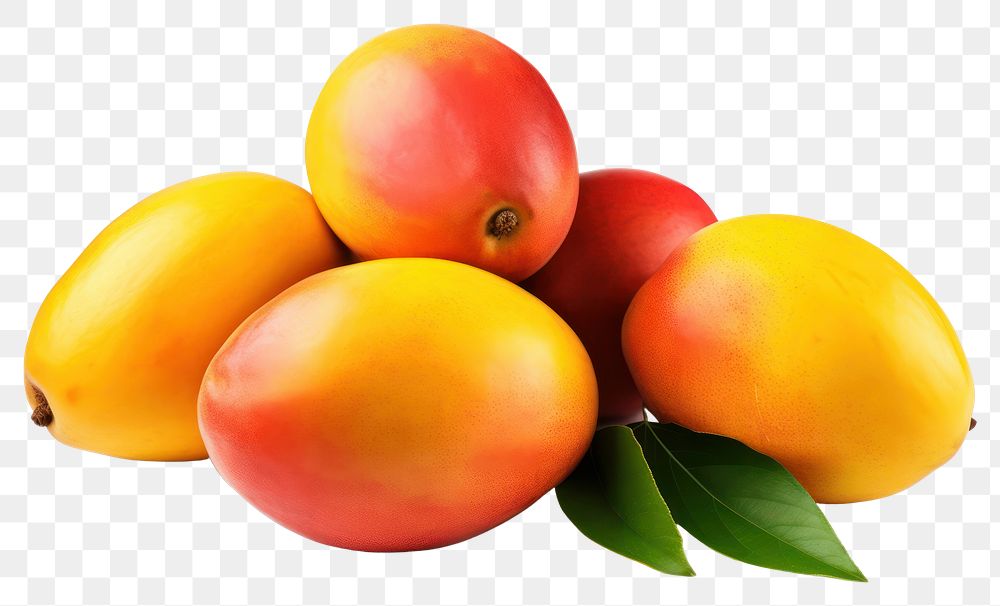 PNG Fruit mango plant food. AI generated Image by rawpixel.