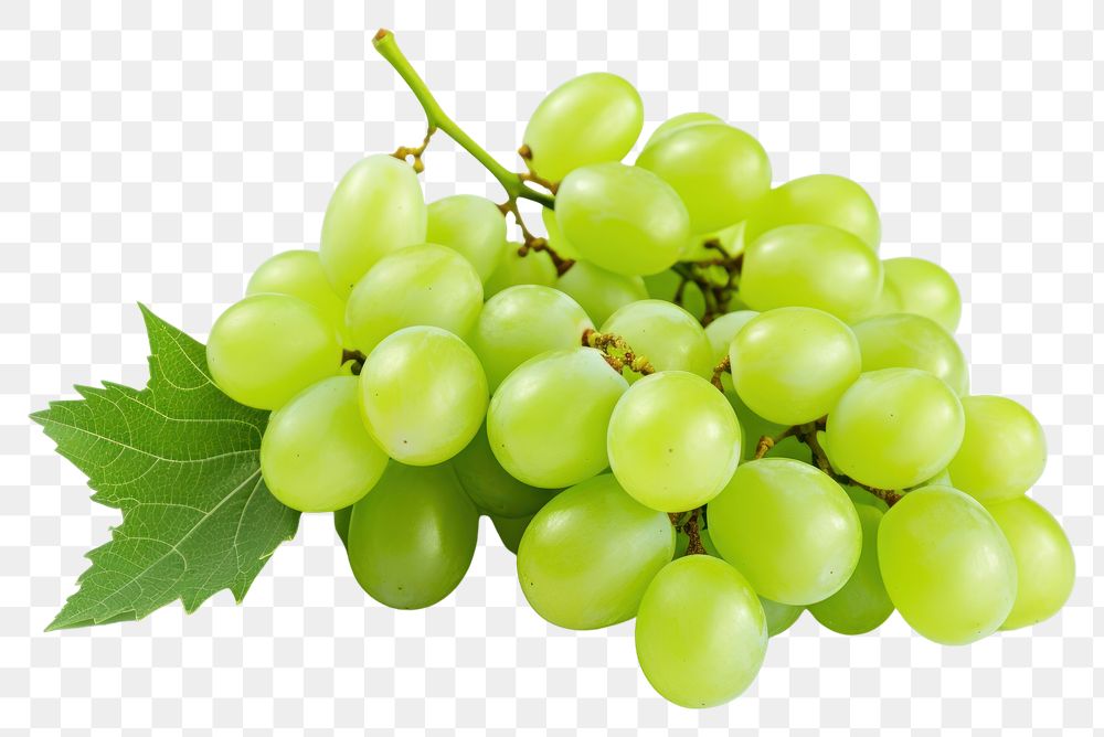 PNG Grapes fruit plant food. AI generated Image by rawpixel.