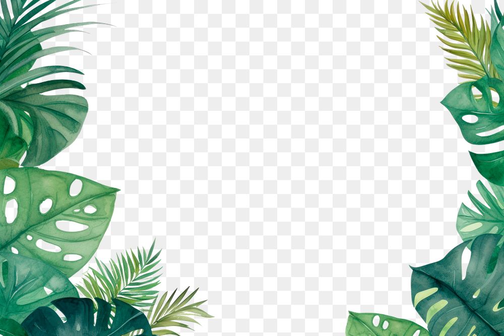 PNG Backgrounds outdoors nature summer. 