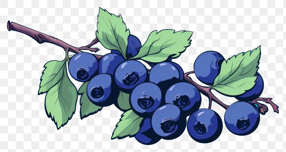 PNG  Blueberry fruit plant food. AI generated Image by rawpixel.