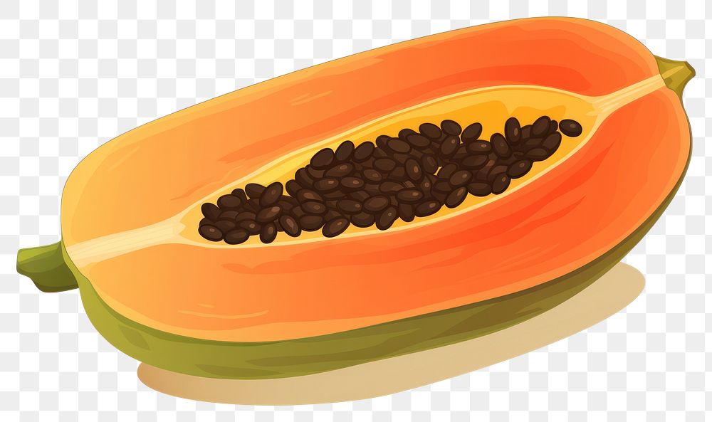 PNG Plant food cantaloupe vegetable. AI generated Image by rawpixel.