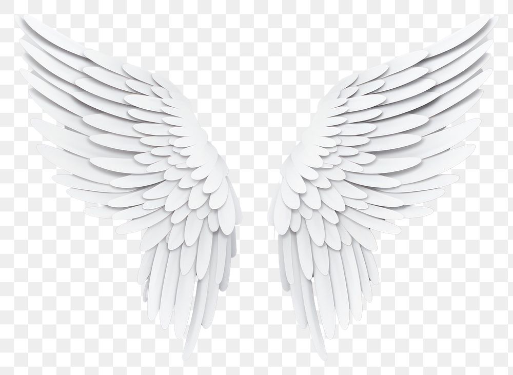 PNG White creativity feather flying. | Free PNG - rawpixel