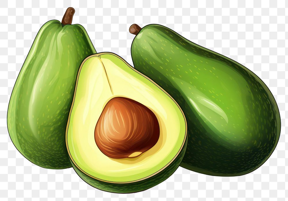PNG  Avocado plant food freshness. AI generated Image by rawpixel.
