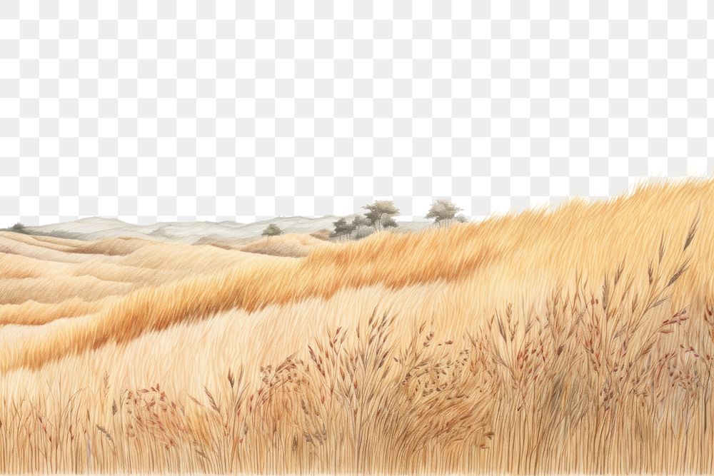 PNG Landscape grassland outdoors drawing. AI generated Image by rawpixel.