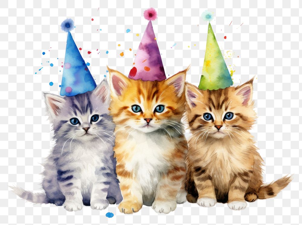 PNG Kitten birthday  transparent background