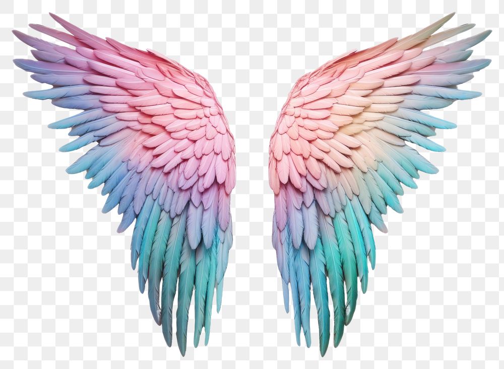 PNG Angel wing bird art transparent background