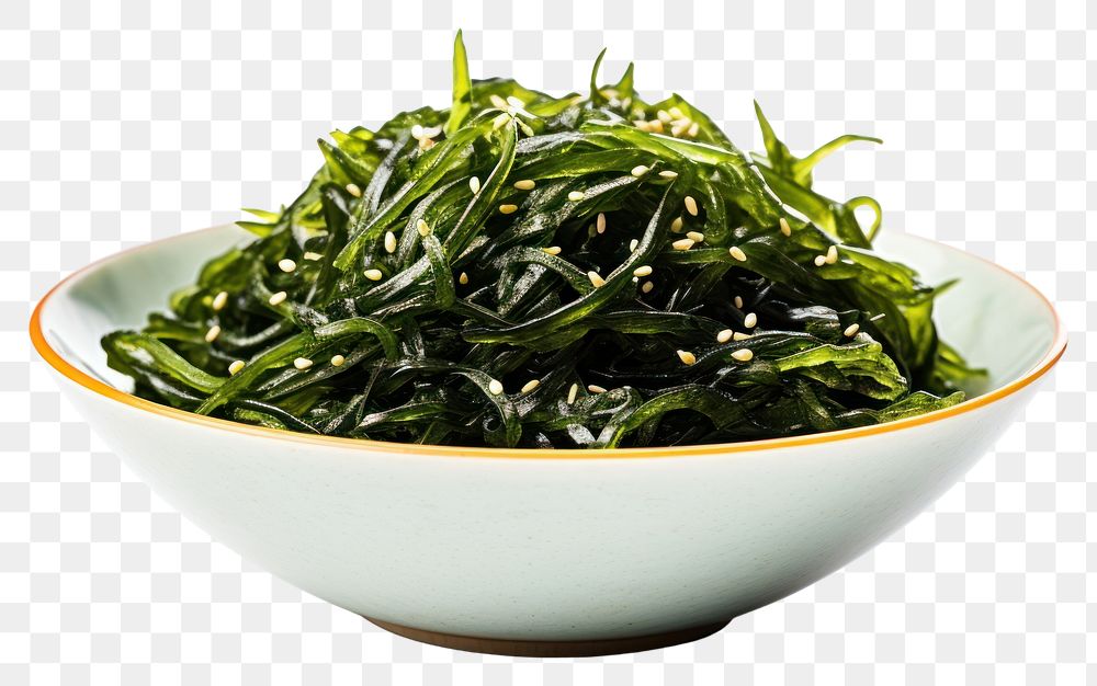 PNG Seaweed plant food vegetable. 