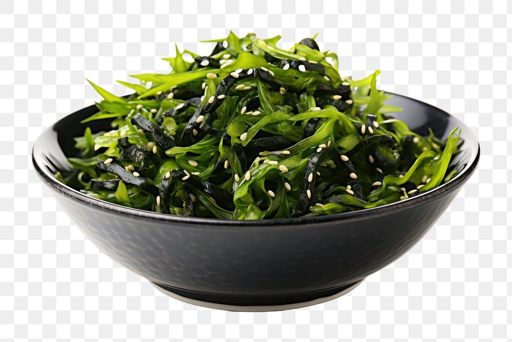 PNG Seaweed plant food bowl. 