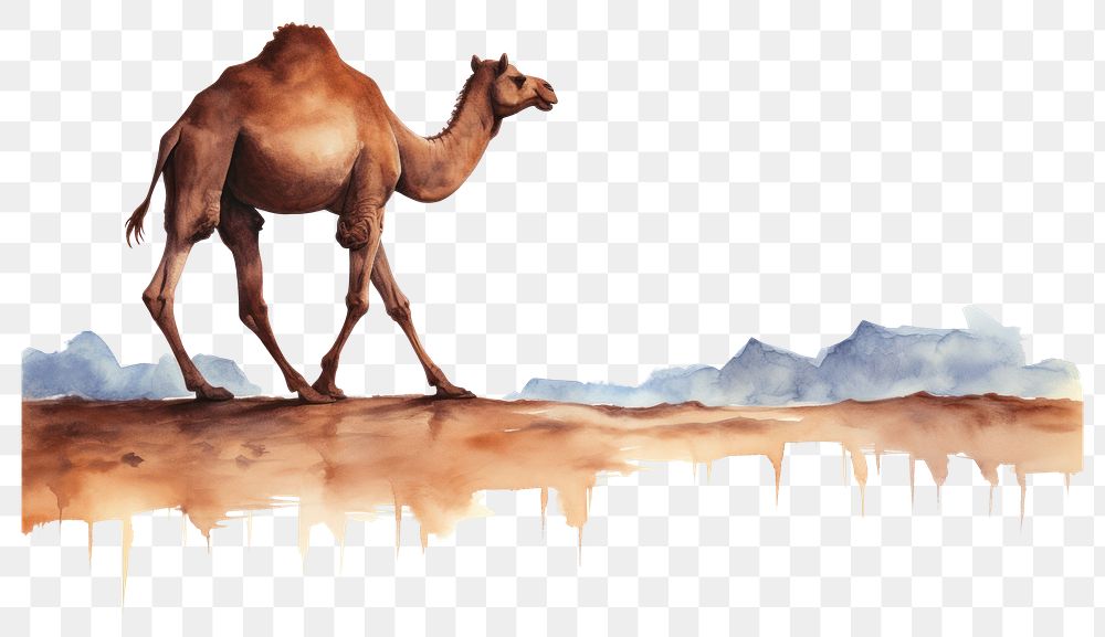PNG Camel mammal animal desert. AI generated Image by rawpixel.