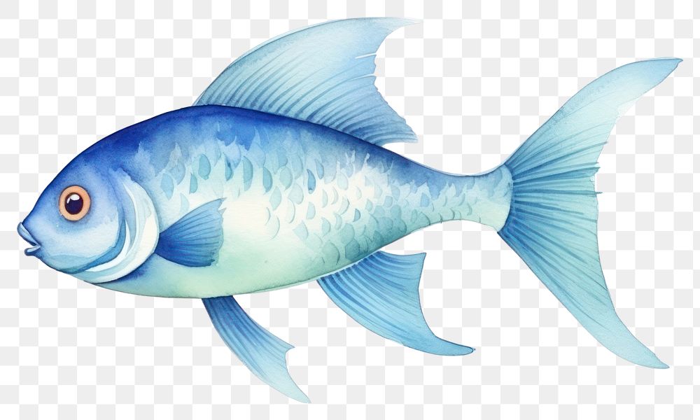 PNG Fish animal white background goldfish. AI generated Image by rawpixel.
