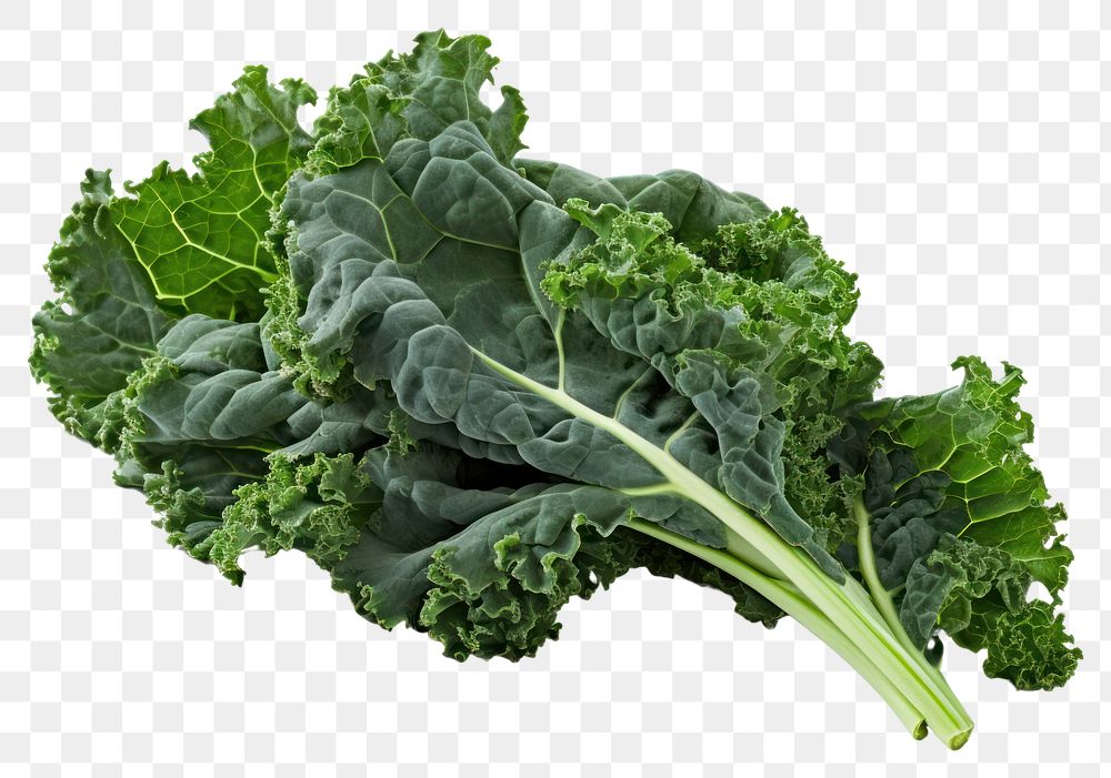 PNG Vegetable plant kale food. AI generated Image by rawpixel.