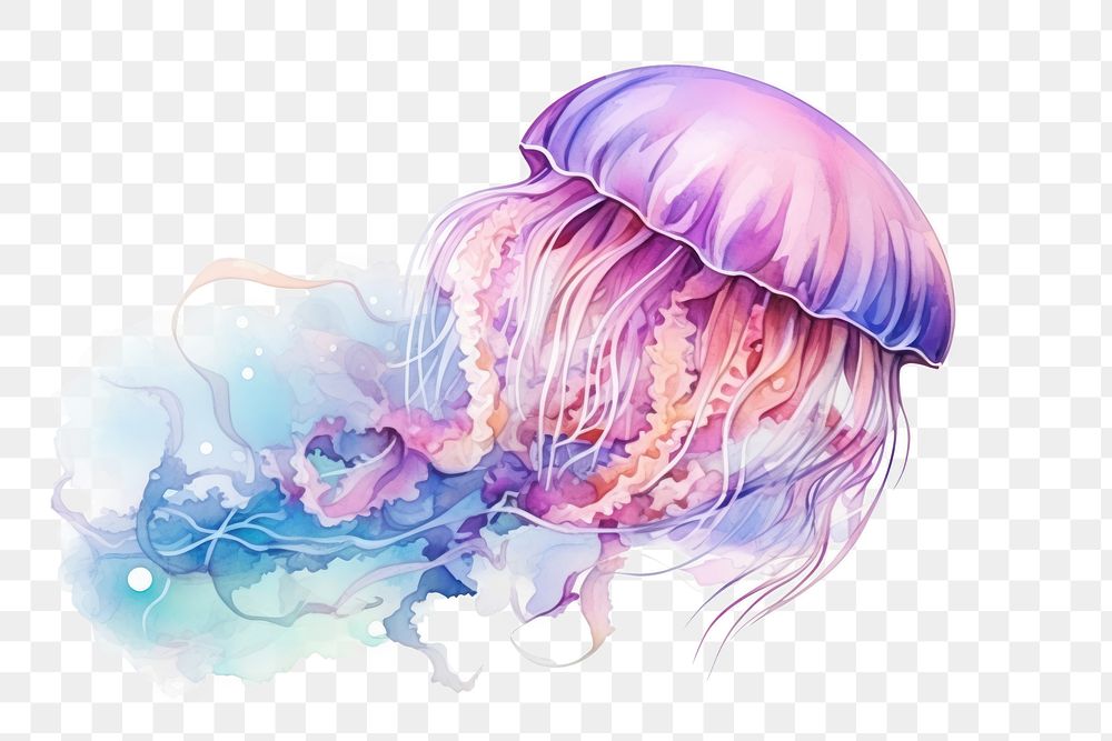 PNG Jellyfish invertebrate underwater creativity. AI generated Image by rawpixel.