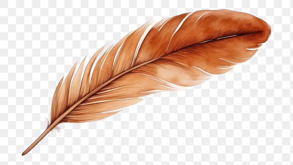 PNG Feather brown leaf bird. AI generated Image by rawpixel.