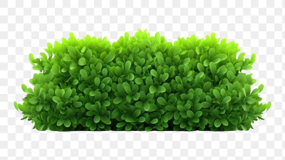 PNG Green plant grass transparent background. AI generated Image by rawpixel.