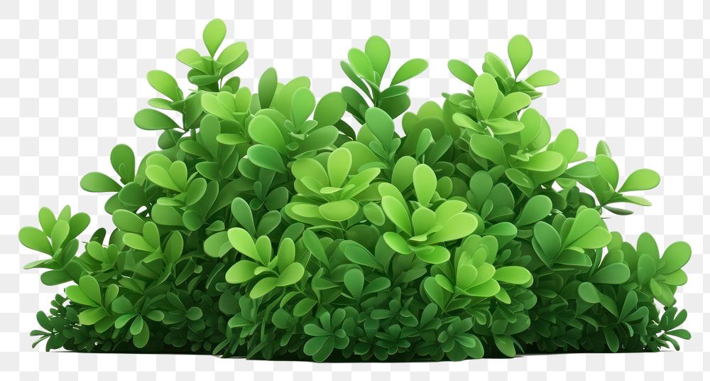 PNG Green plant shrub herbs. AI generated Image by rawpixel.