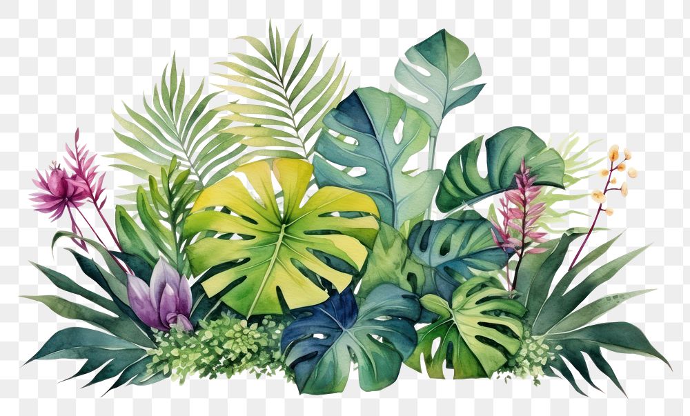 PNG Plant vegetation tropics flower