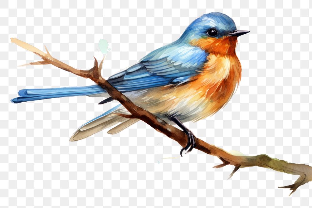 PNG Bird animal kingfisher creativity. AI generated Image by rawpixel.